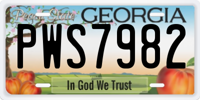 GA license plate PWS7982