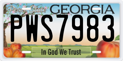 GA license plate PWS7983
