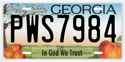 GA license plate PWS7984