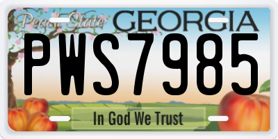 GA license plate PWS7985