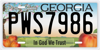 GA license plate PWS7986