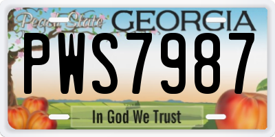 GA license plate PWS7987