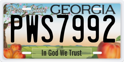 GA license plate PWS7992
