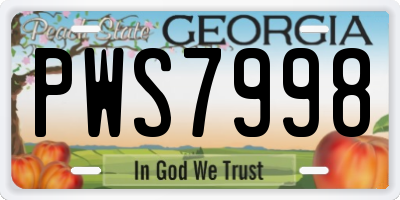 GA license plate PWS7998