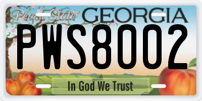 GA license plate PWS8002
