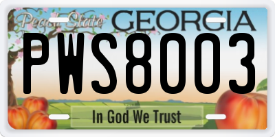 GA license plate PWS8003