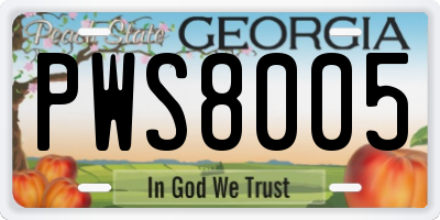 GA license plate PWS8005