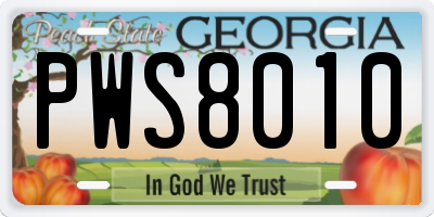 GA license plate PWS8010