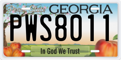 GA license plate PWS8011