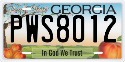 GA license plate PWS8012