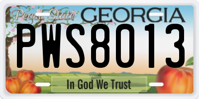 GA license plate PWS8013