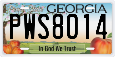 GA license plate PWS8014