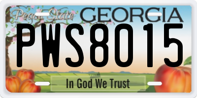 GA license plate PWS8015