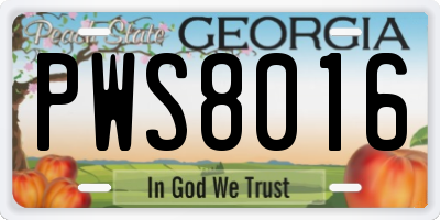 GA license plate PWS8016