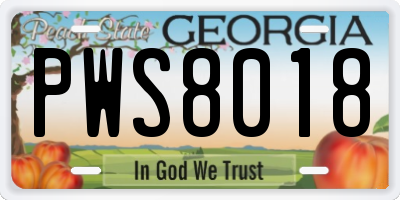 GA license plate PWS8018