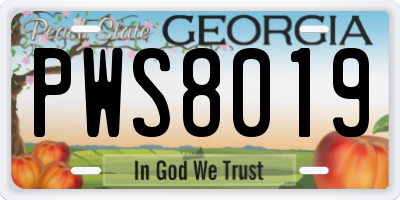 GA license plate PWS8019