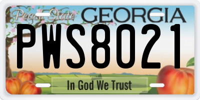 GA license plate PWS8021