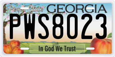 GA license plate PWS8023