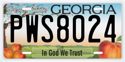 GA license plate PWS8024