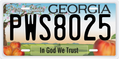 GA license plate PWS8025