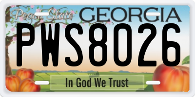 GA license plate PWS8026