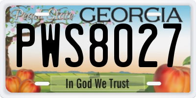 GA license plate PWS8027