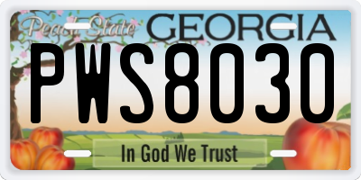 GA license plate PWS8030