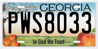 GA license plate PWS8033