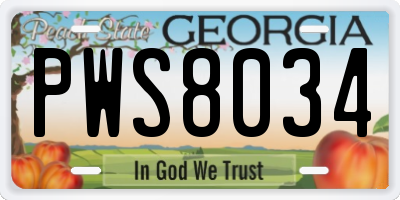 GA license plate PWS8034