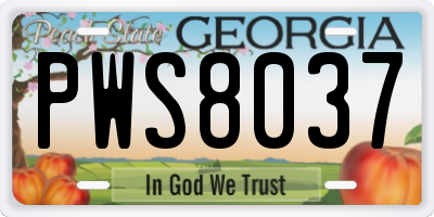 GA license plate PWS8037