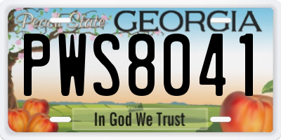 GA license plate PWS8041