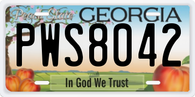 GA license plate PWS8042