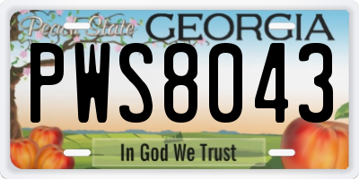 GA license plate PWS8043