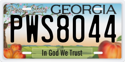 GA license plate PWS8044