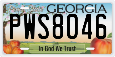 GA license plate PWS8046