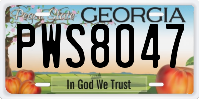 GA license plate PWS8047
