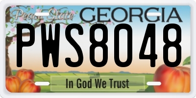 GA license plate PWS8048