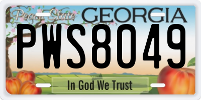 GA license plate PWS8049