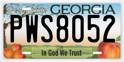 GA license plate PWS8052