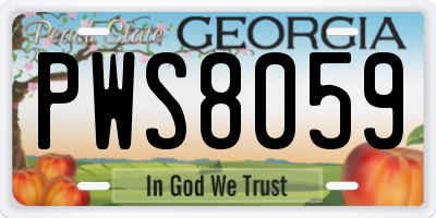 GA license plate PWS8059