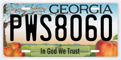GA license plate PWS8060