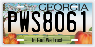 GA license plate PWS8061