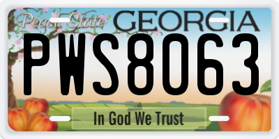 GA license plate PWS8063