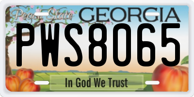 GA license plate PWS8065