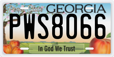 GA license plate PWS8066