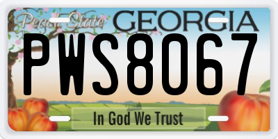 GA license plate PWS8067