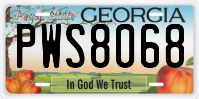 GA license plate PWS8068