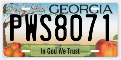 GA license plate PWS8071