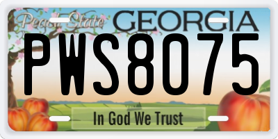 GA license plate PWS8075