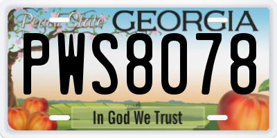 GA license plate PWS8078